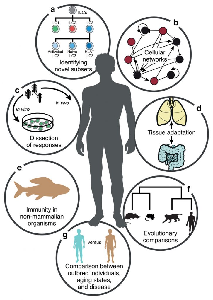 Single-cell transcriptomics to explore the immune system in health and disease. 